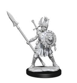 WizKids - Dungeons and Dragons Frameworks: Human Fighter Female