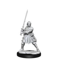 Load image into Gallery viewer, WizKids - Dungeons and Dragons Frameworks: Human Fighter Female
