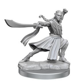 Load image into Gallery viewer, WizKids - Dungeons and Dragons Frameworks: Elf Monk Male
