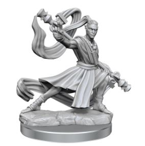 WizKids - Dungeons and Dragons Frameworks: Elf Monk Male