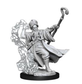 Load image into Gallery viewer, WizKids - Dungeons and Dragons Frameworks: Human Wizard Male
