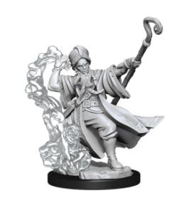 WizKids - Dungeons and Dragons Frameworks: Human Wizard Male