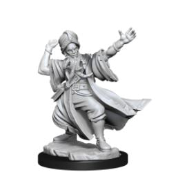 Load image into Gallery viewer, WizKids - Dungeons and Dragons Frameworks: Human Wizard Male
