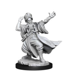 WizKids - Dungeons and Dragons Frameworks: Human Wizard Male