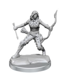 Load image into Gallery viewer, WizKids - Dungeons and Dragons Frameworks: Human Rogue Female
