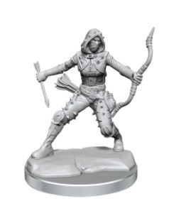 WizKids - Dungeons and Dragons Frameworks: Human Rogue Female