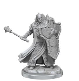 Load image into Gallery viewer, WizKids - Dungeons and Dragons Frameworks: Human Cleric Male
