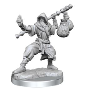 WizKids - Dungeons and Dragons Frameworks: Human Monk Male