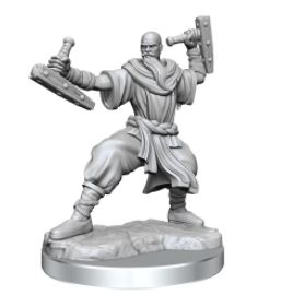 WizKids - Dungeons and Dragons Frameworks: Human Monk Male