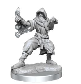 WizKids - Dungeons and Dragons Frameworks: Human Monk Male