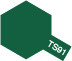 Load image into Gallery viewer, Ts-91 - Dark Green (Jgsdf)
