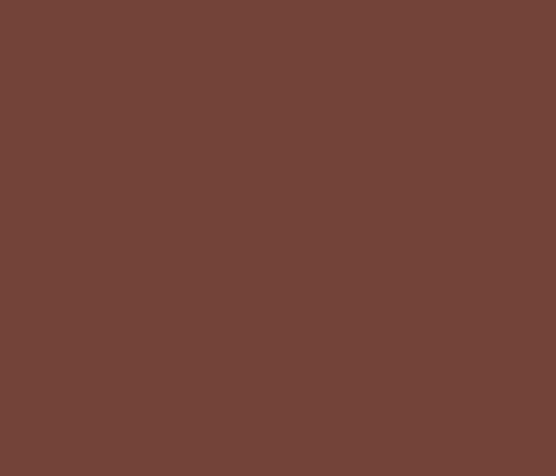 Load image into Gallery viewer, Vallejo - Model Color - Flat Brown
