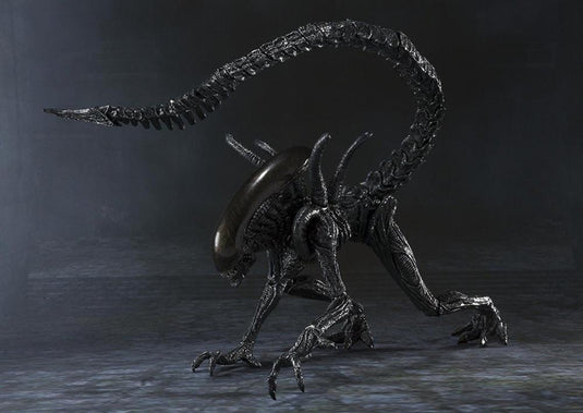 Bandai - S.H.Monsterarts Aliens VS Predator: Alien Warrior