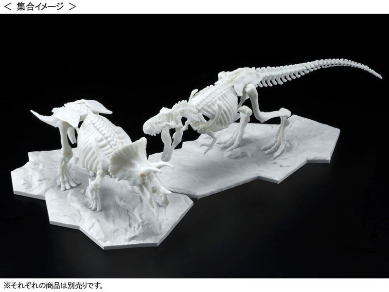Load image into Gallery viewer, Bandai - Dinosaur Skeleton: Triceratops
