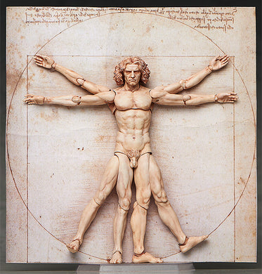 FREEing - The Table Museum Figma: SP-075 Vitruvian Man