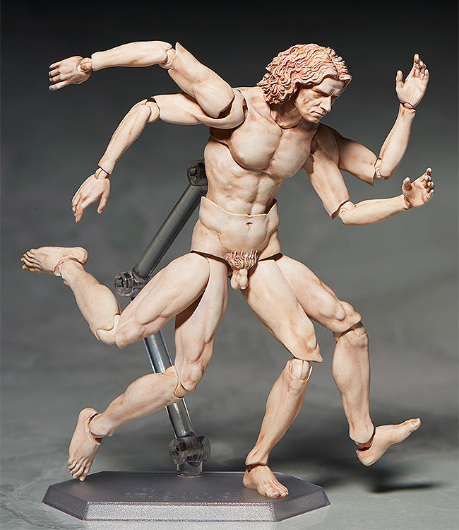 Load image into Gallery viewer, FREEing - The Table Museum Figma: SP-075 Vitruvian Man
