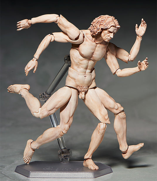 FREEing - The Table Museum Figma: SP-075 Vitruvian Man