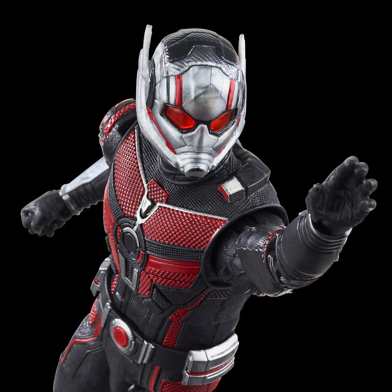 Load image into Gallery viewer, Marvel Legends - Ant-Man (Cassie Lang BAF)
