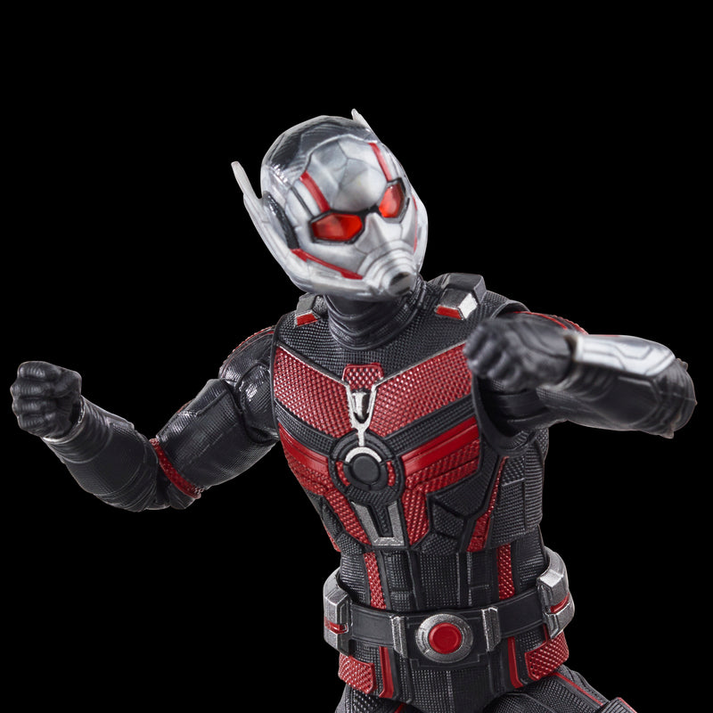 Load image into Gallery viewer, Marvel Legends - Ant-Man (Cassie Lang BAF)
