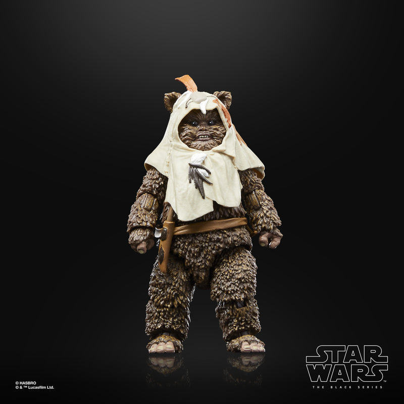 Load image into Gallery viewer, Star Wars The Black Series: Return of the Jedi 40th Anniversary - Paploo
