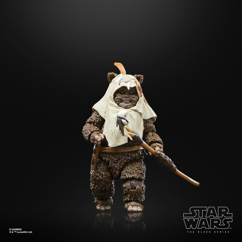 Load image into Gallery viewer, Star Wars The Black Series: Return of the Jedi 40th Anniversary - Paploo
