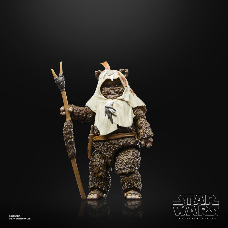 Load image into Gallery viewer, Star Wars The Black Series: Return of the Jedi 40th Anniversary - Paploo
