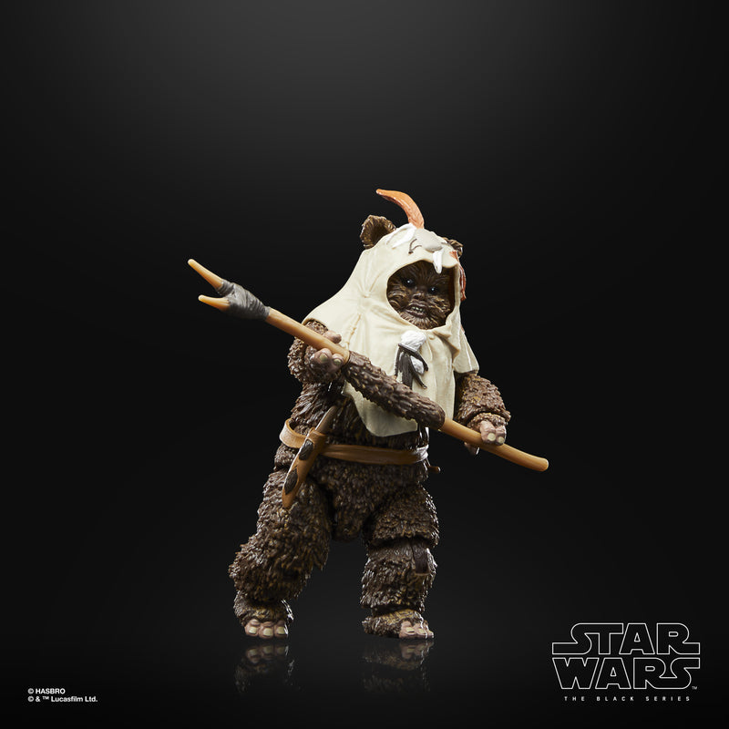 Load image into Gallery viewer, Star Wars The Black Series: Return of the Jedi 40th Anniversary - Paploo
