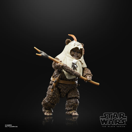Star Wars The Black Series: Return of the Jedi 40th Anniversary - Paploo