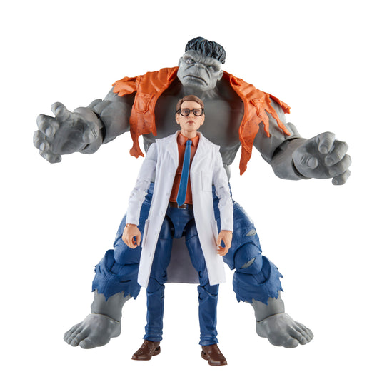 Marvel Legends - Gray Hulk and Dr. Bruce Banner