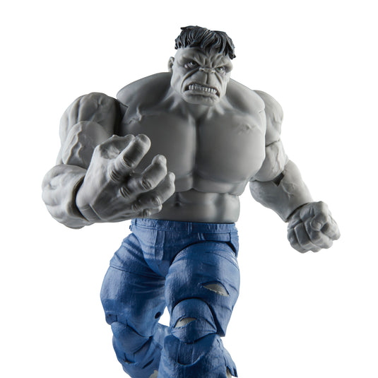 Marvel Legends - Gray Hulk and Dr. Bruce Banner