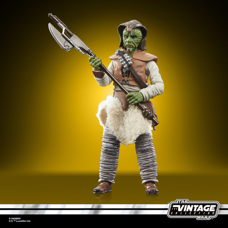 Load image into Gallery viewer, Hasbro - Star Wars: The Vintage Collection: Wooof (Return of the Jedi) 3 3/4-Inch Action Figure
