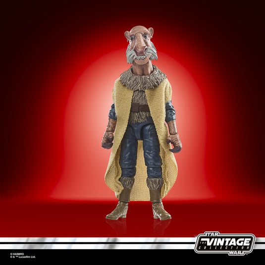 Hasbro - Star Wars: The Vintage Collection: Saelt-Marae (Return of the Jedi) 3 3/4-Inch Action Figure