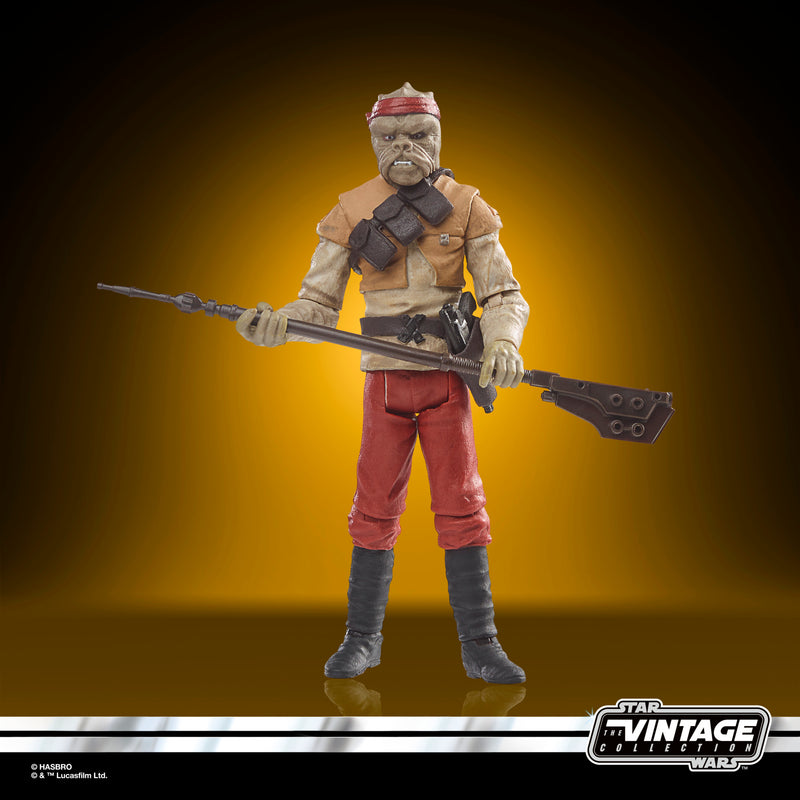 Load image into Gallery viewer, Hasbro - Star Wars: The Vintage Collection: Kithaba (Skiff Guard) (Return of the Jedi) 3 3/4-Inch Action Figure
