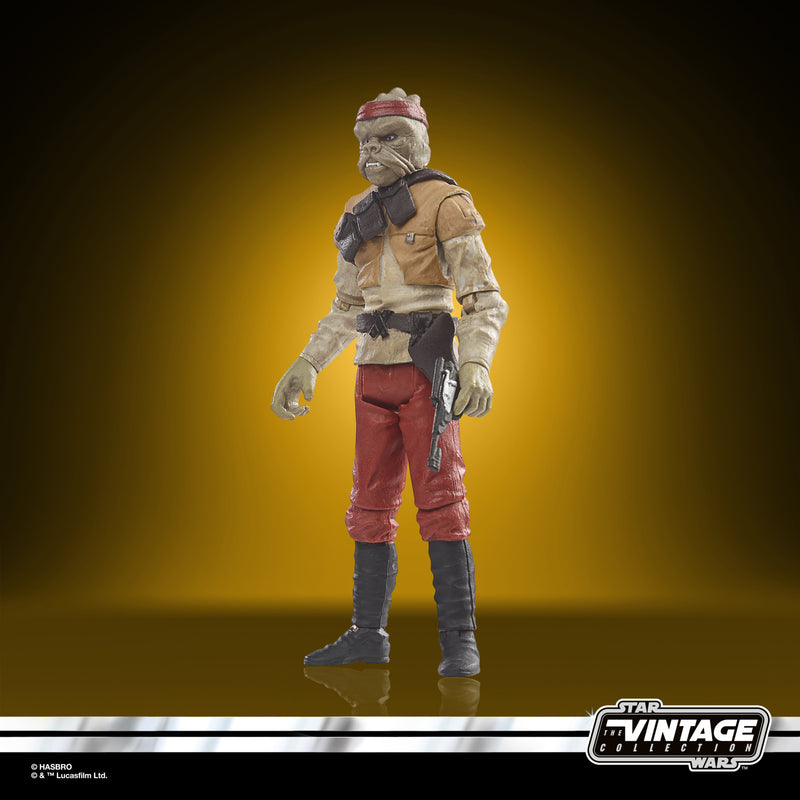 Load image into Gallery viewer, Hasbro - Star Wars: The Vintage Collection: Kithaba (Skiff Guard) (Return of the Jedi) 3 3/4-Inch Action Figure
