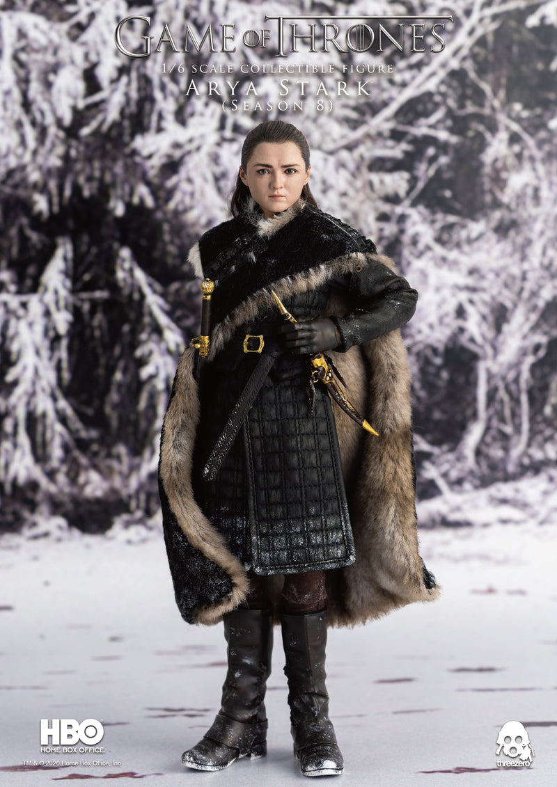 Load image into Gallery viewer, Threezero - Game of Thrones Arya Stark Season 8
