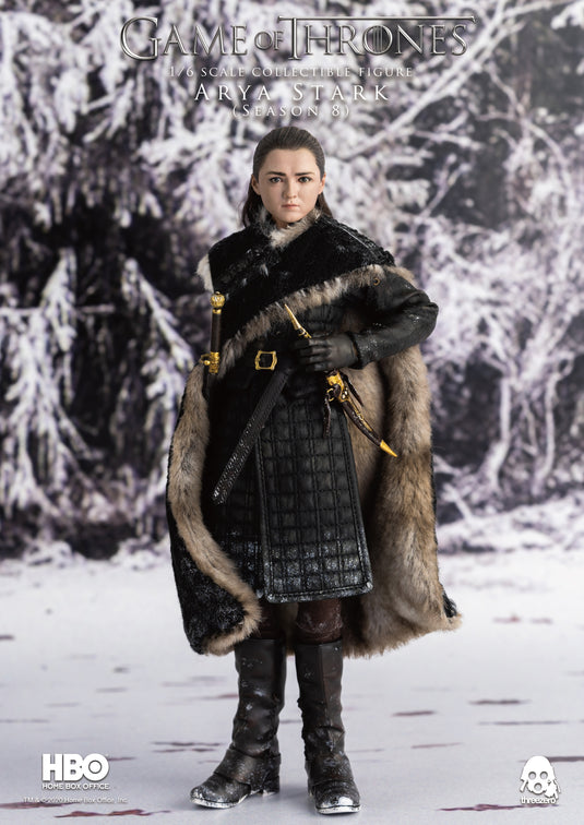 Threezero - Game of Thrones Arya Stark Season 8