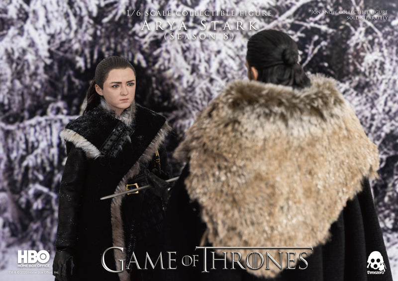 Load image into Gallery viewer, Threezero - Game of Thrones Arya Stark Season 8
