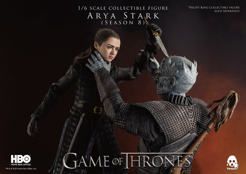Load image into Gallery viewer, Threezero - Game of Thrones Arya Stark Season 8
