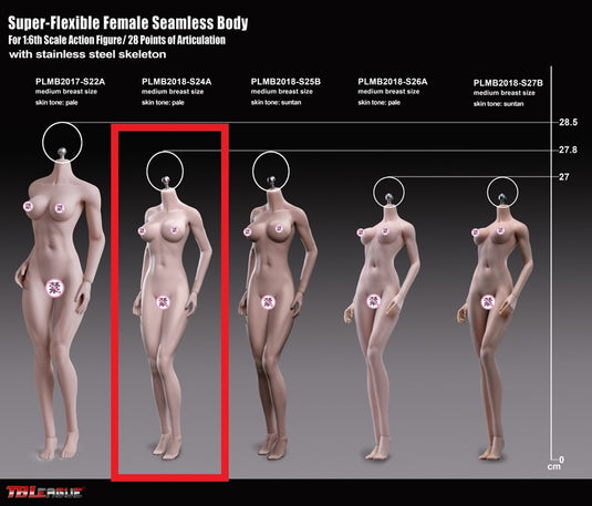 TBLeague - Super-Flexible Female Seamless Body - S24A 278mm Pale