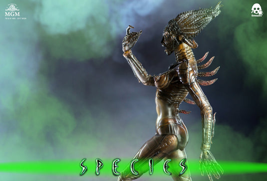 ThreeA - Species - Sil