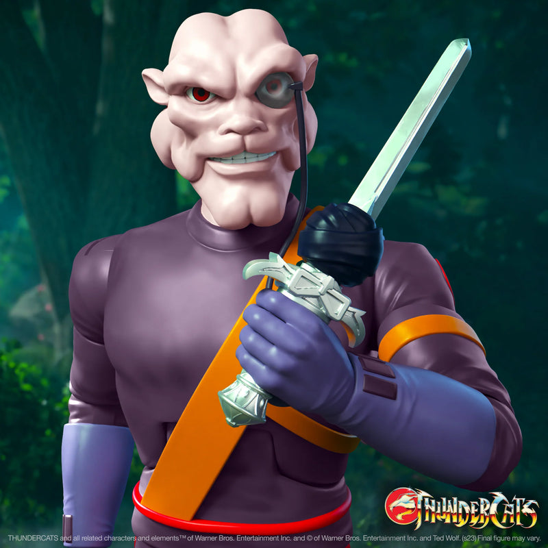 Load image into Gallery viewer, Super 7 - Thundercats Ultimates: Captain Shiner
