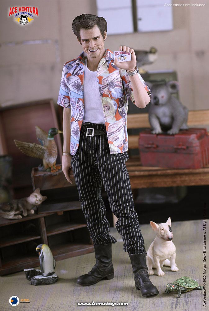 Load image into Gallery viewer, Asmus Toys - Pet Detective: Ace Ventura

