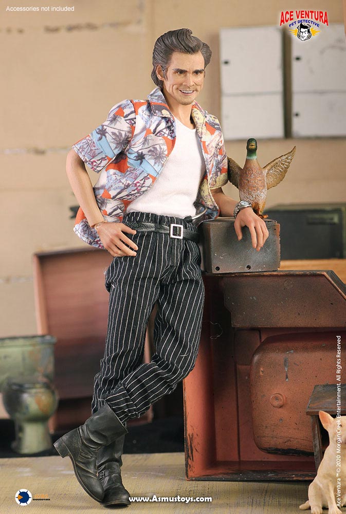 Load image into Gallery viewer, Asmus Toys - Pet Detective: Ace Ventura
