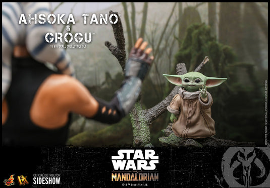 Hot Toys - Star Wars The Mandalorian - Ahsoka Tano and Grogu Set