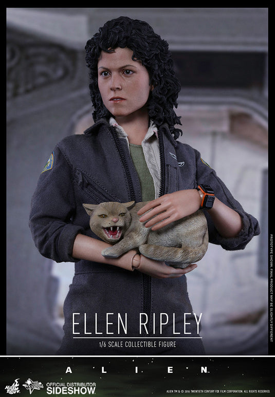 Hot Toys - Aliens: Ellen Ripley