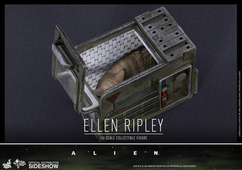 Load image into Gallery viewer, Hot Toys - Aliens: Ellen Ripley
