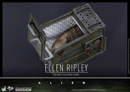 Hot Toys - Aliens: Ellen Ripley