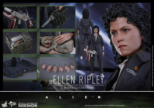 Hot Toys - Aliens: Ellen Ripley