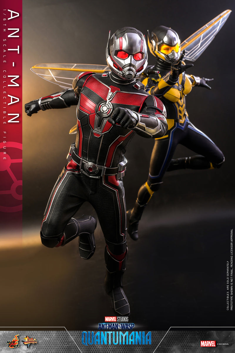 Load image into Gallery viewer, Hot Toys - Ant-Man and The Wasp Quantumania: Ant-Man
