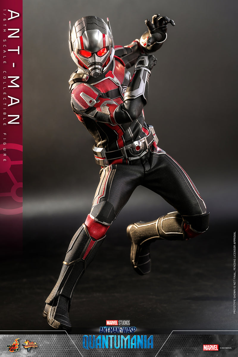 Load image into Gallery viewer, Hot Toys - Ant-Man and The Wasp Quantumania: Ant-Man
